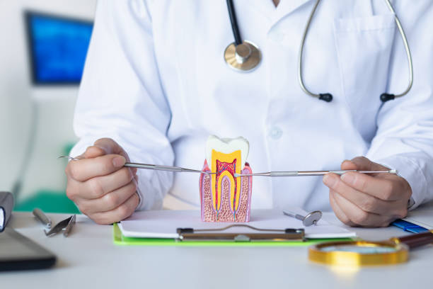 Best Emergency Dental Services Near Me  in East Jordan, MI